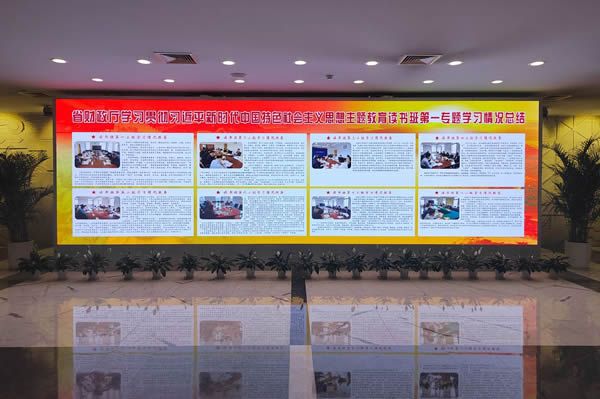 國內(nèi)有哪些COB顯示屏廠家做得比較好的？